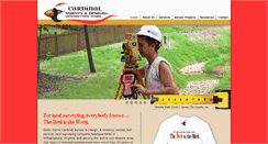 Desktop Screenshot of cardinalsurvey.com