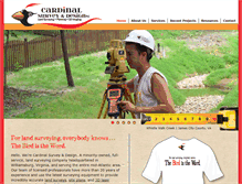Tablet Screenshot of cardinalsurvey.com
